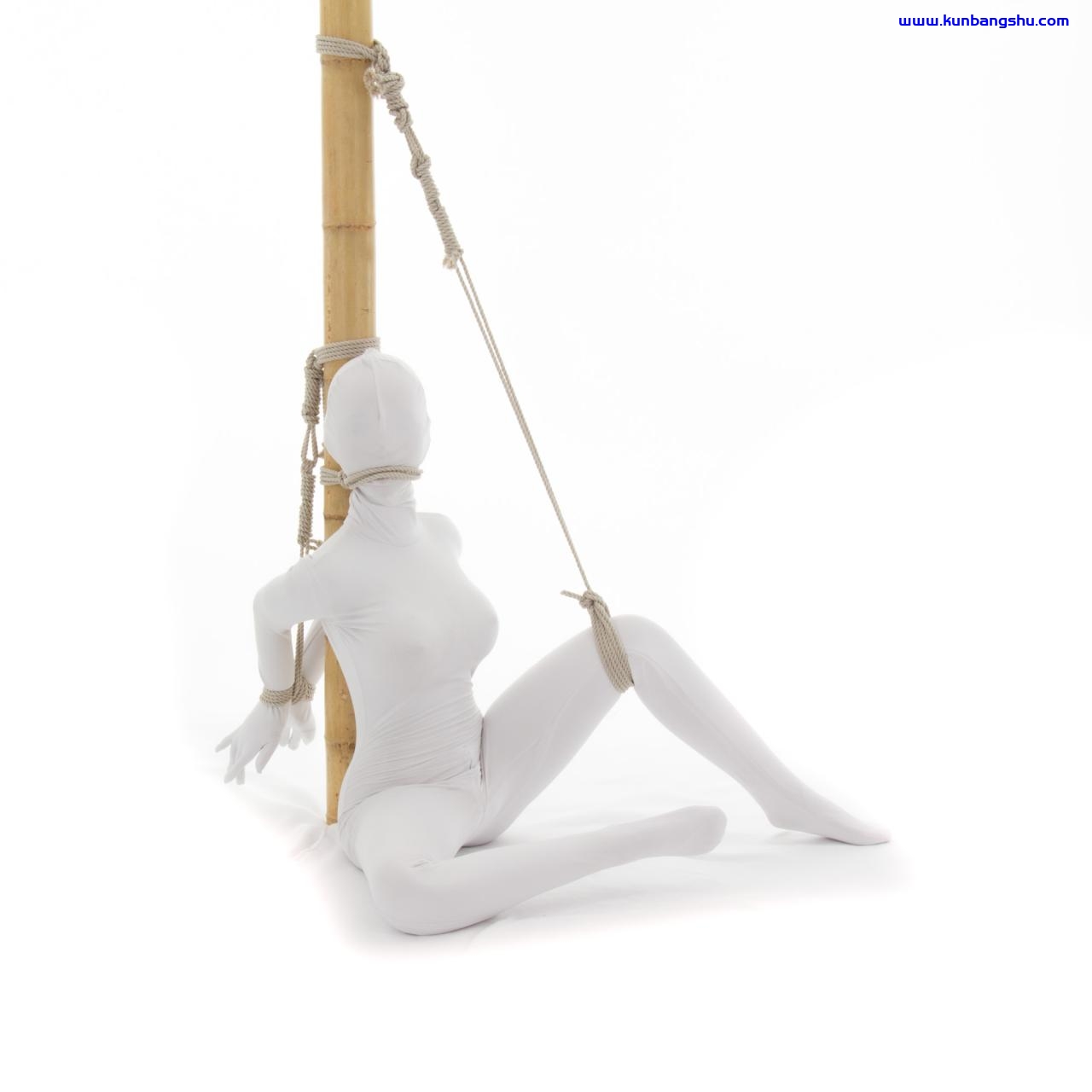 https://www.theduchy.com/wp-content/uploads/2020/09/Hashira-Floor-1.jpg